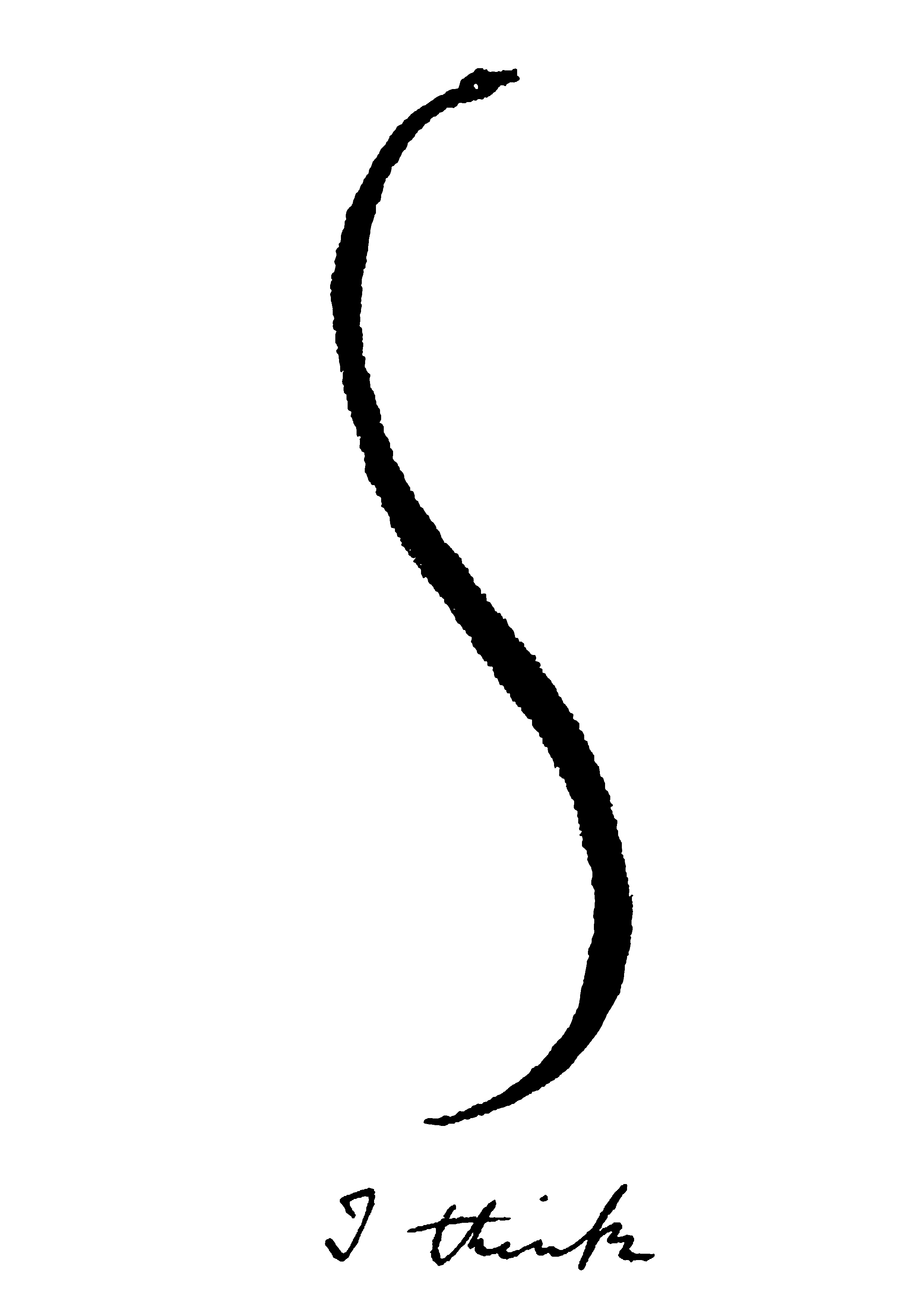 173 il Serpente Pensante delle Camere Chiare